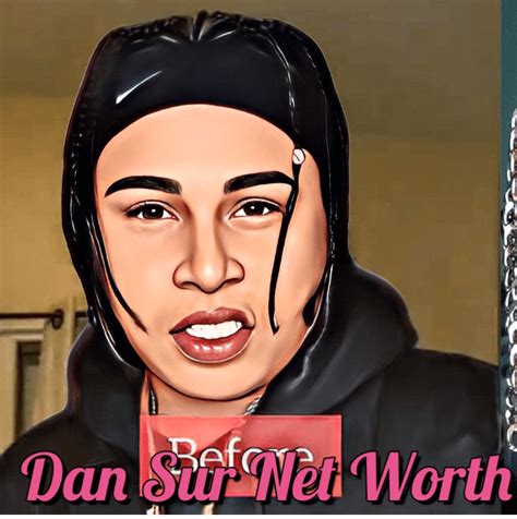 dan sur net worth|Dan Sur Net Worth, Bio, Age, Height, Wiki [Updated 2024。